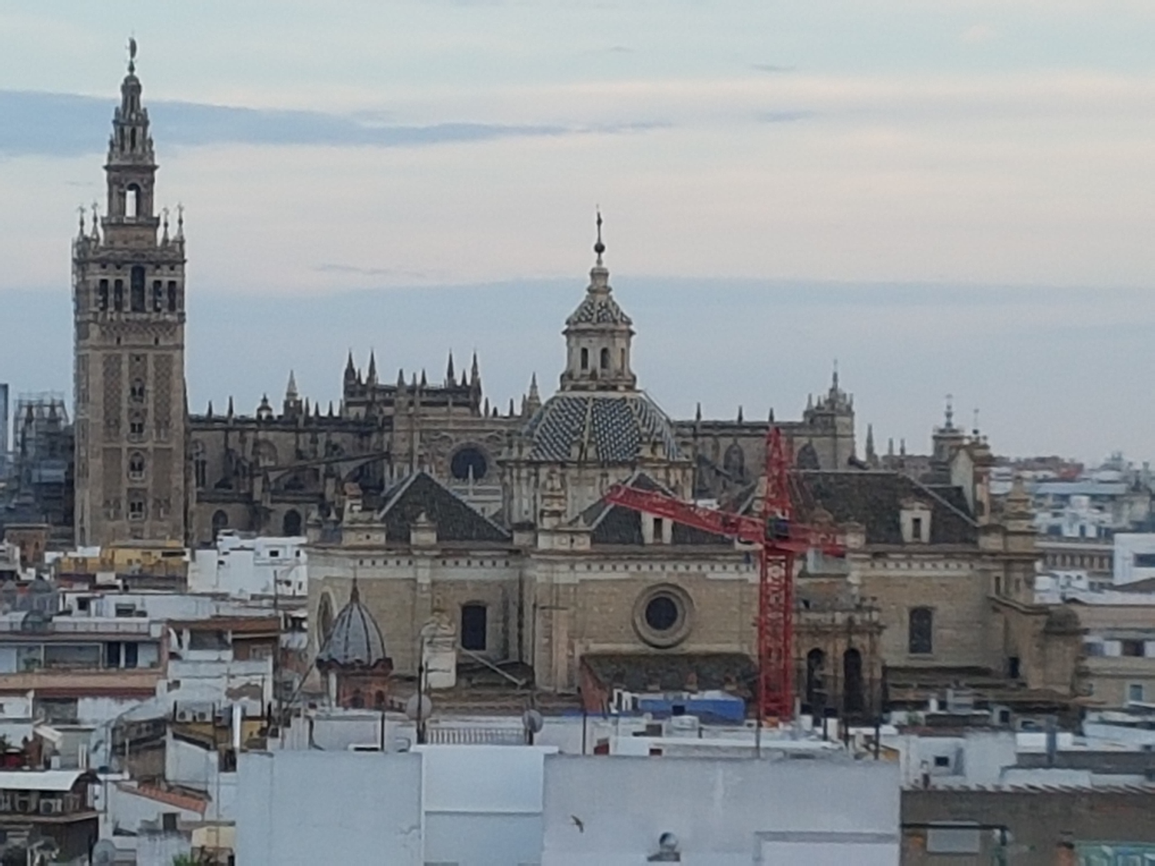 유다은님 감사합니다